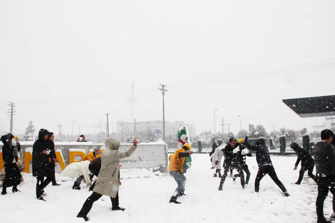 永利集团·yl(中国游)官方网站